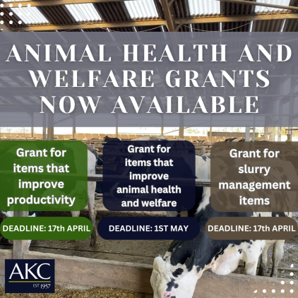 Animal Health and Welfare Grants Now Available 